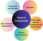 Natural Compound Toxicity: An Egregiously Overlooked Topic