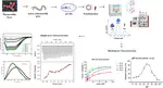 Identification of Thermostable Xylose Reductase from Thermothelomyces thermophilus A Biochemical Characterization Approach to Meet Biofuel Challenges