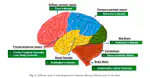 Amyloid-induced neurodegeneration: A comprehensive review through aggregomics perception of proteins in health and pathology