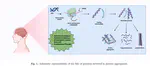 Probing protein aggregation through spectroscopic insights and multimodal approaches: A comprehensive review for counteracting neurodegenerative disorders 